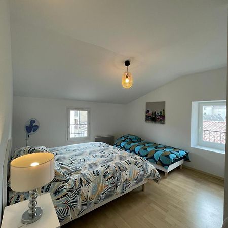 Superbe Appartement Avec 2 Chambres - 9 Personnes - Parking Prive Tournon-sur-Rhone Dış mekan fotoğraf